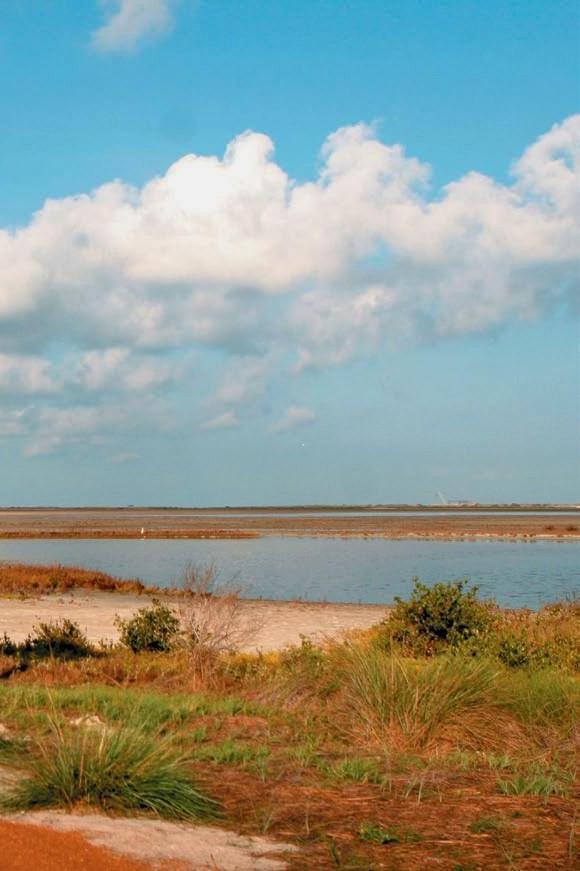 Port Aransas Nature Preserve at Charlie's Pasture